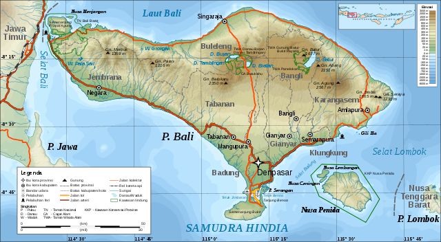 Peta topografi Bali